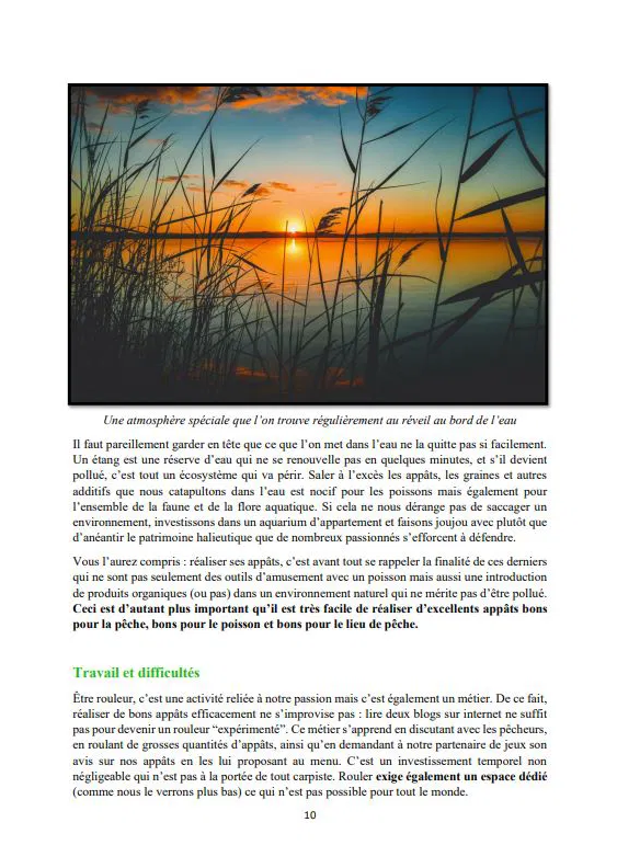 STAPIO - L'intégrale de la bouillette maison