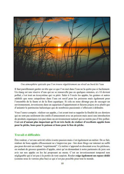 STAPIO - L'intégrale de la bouillette maison