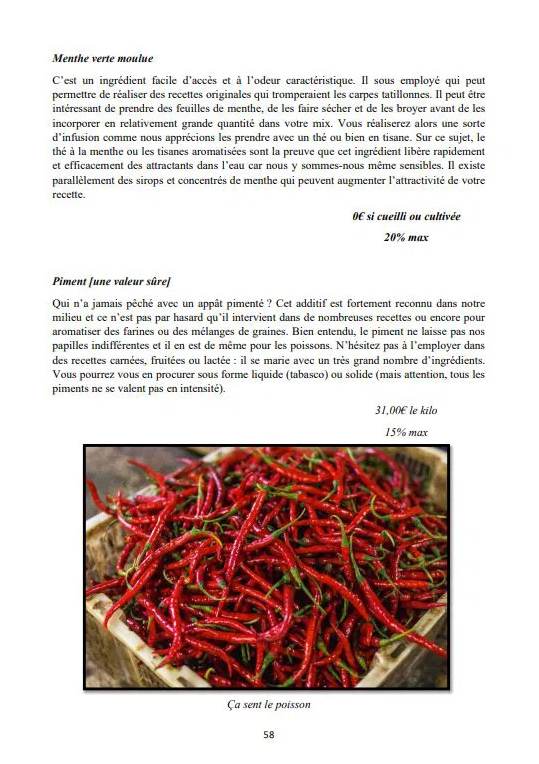 STAPIO - L'intégrale de la bouillette maison