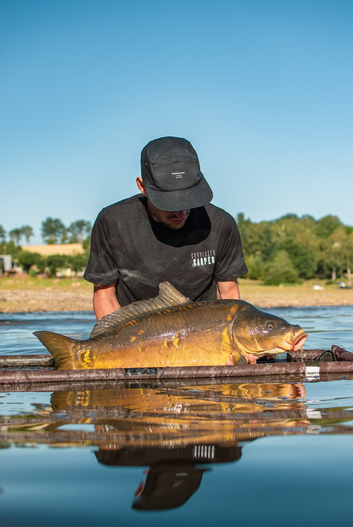 Connected Carper black cotton t-shirt worn by a fisherman holding a large carp in a lake at sunset